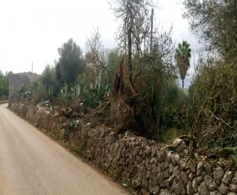 Venta Solares urbanos Sant Llorenç des Cardassar