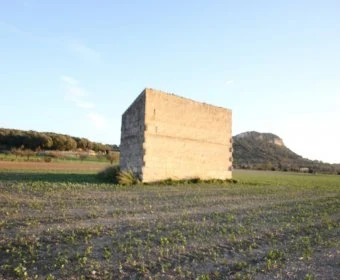 Venta Terrenos Sineu