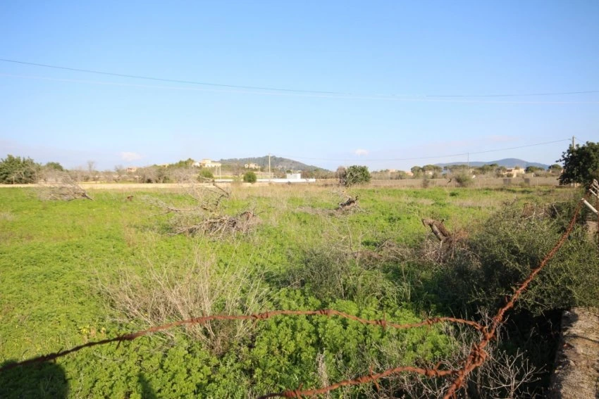 Venta Terrenos Cala Millor