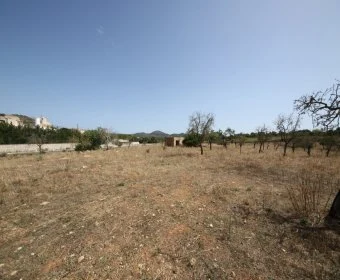 Sale Lands Son Carrio