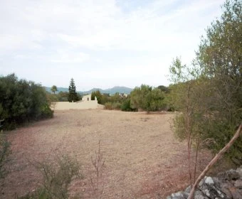 Venta Terrenos Artá