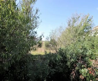 Verkauf Städtische Grundstücke Vilafranca de Bonany