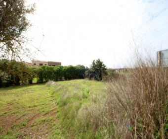 Venta Solares urbanos Son Carrio