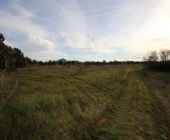 Venta Terrenos Felanitx