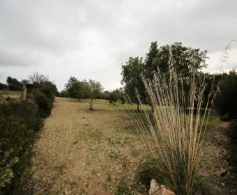 Venta Terrenos Sant Llorenç des Cardassar
