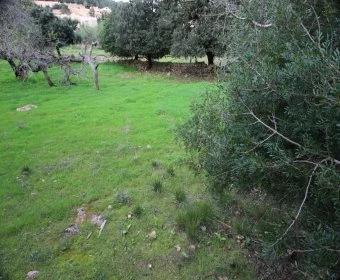 Verkauf Städtische Grundstücke Cala Ratjada