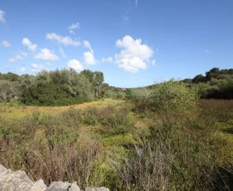 Venta Terrenos Porto Petro