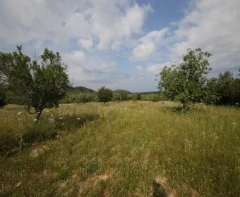 Venta Terrenos Son Servera