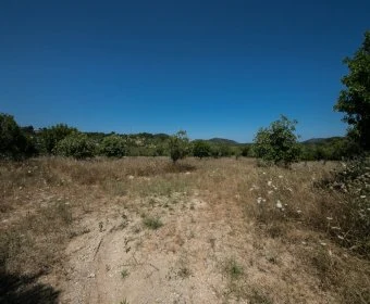 Venta Terrenos Son Servera