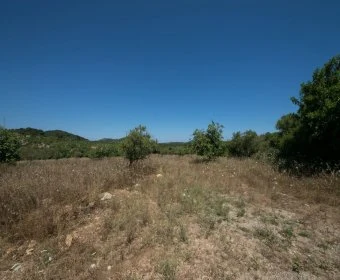 Venta Terrenos Son Servera