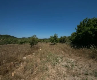 Venta Terrenos Son Servera