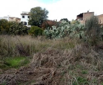 Sale Urban solar Petra