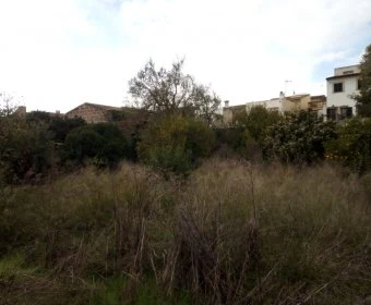 Sale Urban solar Petra