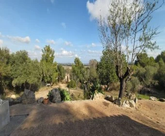 Venta Terrenos Petra