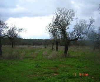 Venta Terrenos Porto Cristo