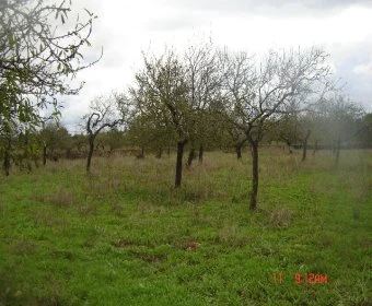 Venta Terrenos Porto Cristo