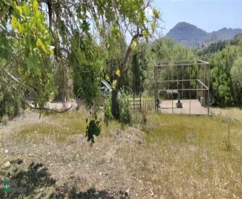 Sale Lands Son Servera