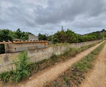 Sale Lands Son Carrio