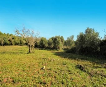 Sale Lands Calas de Mallorca