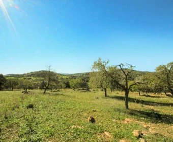 Sale Lands Calas de Mallorca