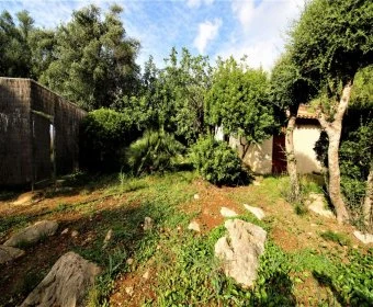 Sale Hotels Font de Sa Cala