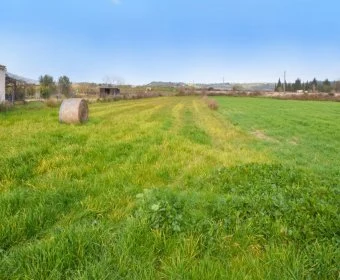 Venta Terrenos Petra