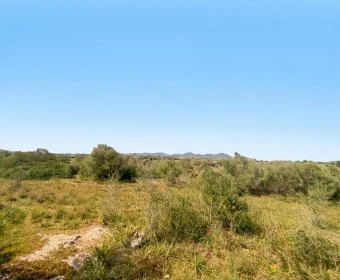 Sale Lands Sillot