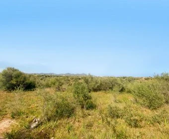 Sale Lands Sillot