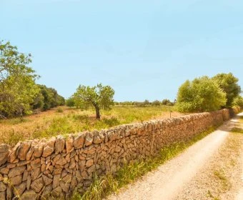 Sale Lands Calas de Mallorca