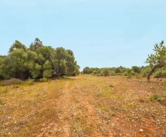 Sale Lands Calas de Mallorca