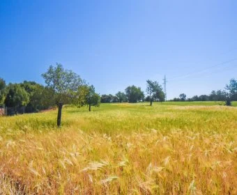 Verkauf landet Santanyí