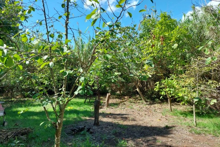 Venta Terrenos Capdepera