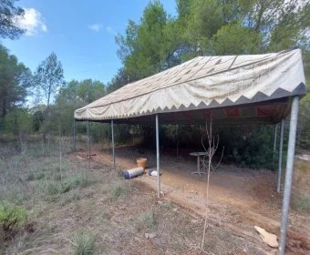 Venta Terrenos Capdepera