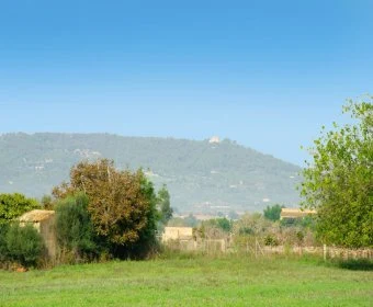 Venta Terrenos Manacor