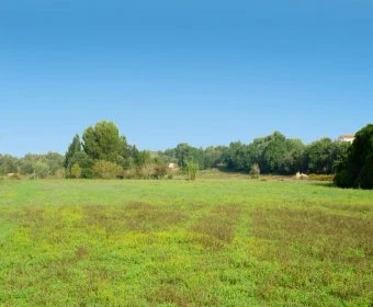 Venta Terrenos Manacor