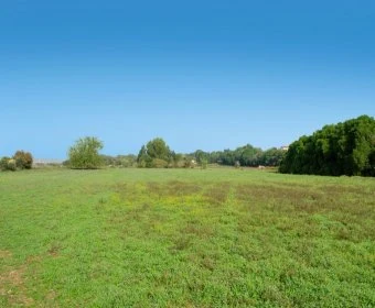 Venta Terrenos Manacor