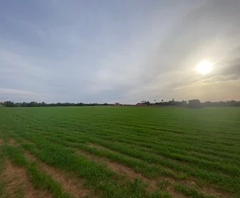 Verkauf landet Campos