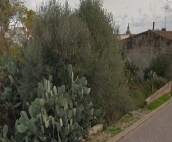 Verkauf Städtische Grundstücke Vilafranca de Bonany