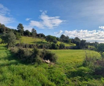 Sale Lands Son Servera