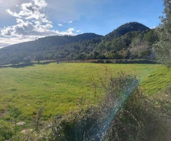 Sale Lands Son Servera