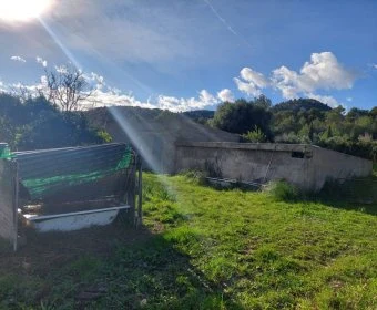 Sale Lands Son Servera