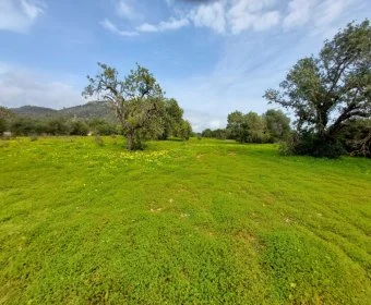 Venta Terrenos Sant Llorenç des Cardassar