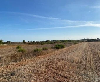 Venta Terrenos Porreres