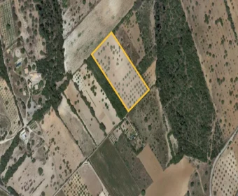 Venta Terrenos Porreres