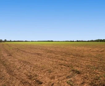 Verkauf landet Campos