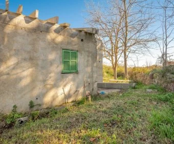 Venta Terrenos Artá