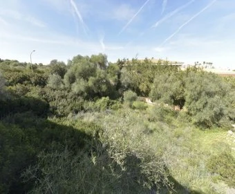 Sale Urban solar Cala Mandia