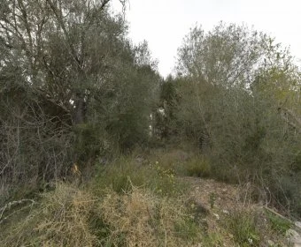 Sale Urban solar María de la salut