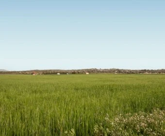 Sale Lands María de la salut