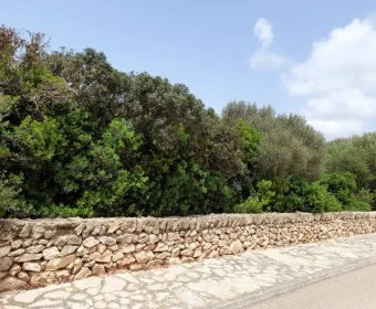 Verkauf Städtische Grundstücke Llucmajor